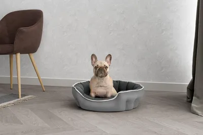 Immagine prodotto di Cuccia per cani e gatti, grigio chiaro/grigio scuro