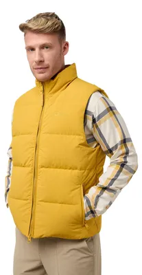 Immagine prodotto di Gilet da uomo Jack Wolfskin Nordlicht, colore senape, taglia XL (EU)