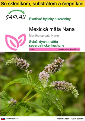 Obrázok produktu pre SAFLAX Kultivačný set - Mexická mäta Nana - Mentha spicata Nane - 500 Semená - S mini skleníkom, pestovateľským substrátom a 2 črepníkmi