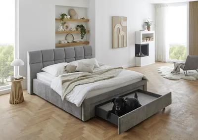 Produktbild von Meise Möbel Polsterbett Canyon 180x200 cm | Doppelbett | Bettgestell | Hundebett-Schubkasten inkl. Kissen | Strukturstoff Grau