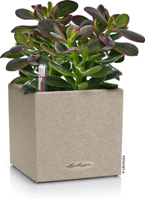 Produktbild von LECHUZA-Tischgefäß CANTO Stone 14 Sandbeige | Pflanzgefäß mit Bewässerungssystem und Pflanzeinsatz | Naturstein-Optik | 14 x 14 x 13,5 cm | 13471