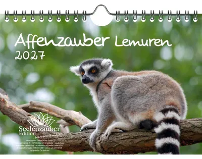 Produktbild von Affenzauber Lemuren DIN A5 Kalender für 2027 Affen - Seelenzauber