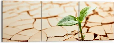 Produktbild von Bild auf Leinwand - Leinwandbild - Wüste Erde Umwelt - 150x50cm - Wand Bild - Wanddeko - Wandbilder - Leinwanddruck - Bilder - Kunstdruck - Wanddekoration - Leinwand bilder - Wandkunst - CA150x50-2173