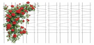 Obrázek produktu pro Garden Trellis Set, 8 Metal Supports for Climbing Plants