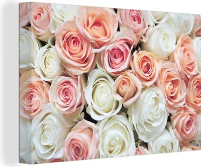 Produktbild von OneMillionCanvasses® - Leinwandbilder - 140x90 cm, Rosen - Blumen - Weiß - Rosa, Wandbilder Kunstdruck Wanddekoration - Foto auf Leinwand - Gemälde auf Holzrahmen