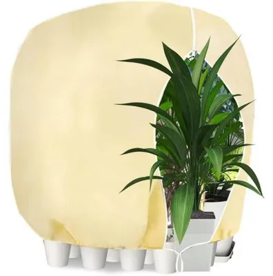 Produktbild von Winterschutz Pflanzenhülle 80x120cm beige atmungsaktiv reißfest
