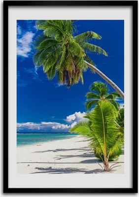 Produktbild von Bild - Bilderrahmen - Foto - 70 cm x 100 cm - MDF - Rahmen - Wandkunst - Tropischer Strand