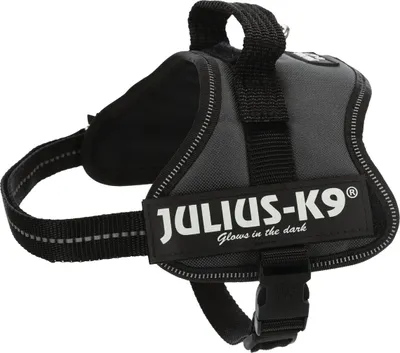 Image de Julius-K9 Harnais Power Baby 1-Mini