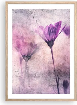 Produktbild von Gerahmtes Poster - Rahmen in heller Eiche - Blumen Rosa Vintage - 50x70 cm - Wand Bild - Wanddeko - Wandbilder - Kunstposter - Wandposter - Bilderrahmen - Bilder - Kunstdruck - P2NPA50x70-4432