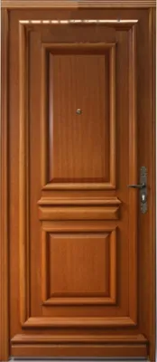 Image de Porte d'entree Bois Pleine, Tahi 1, H215 x L90 p.Gauche