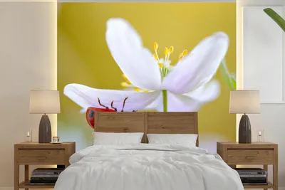 Produktbild von MuchoWow® Fototapete für Wohnzimmer oder Schlafzimmer Wandtapete Vinyl Motivtapete Blume - Insekt - Frühling - 300x300 cm - Wanddekoration