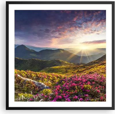 Produktbild von Gerahmtes Poster - Schwarzer Rahmen - Gebirge Wiese Landschaft Wald - 60x60 cm - Wand Bild - Wanddeko - Wandbilder - Wandposter - Bilderrahmen - Bilder - Kunstdruck - Wandbild - P2BAC60x60-3152