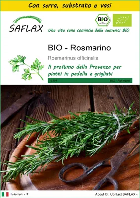 Immagine prodotto di SAFLAX Insieme di coltivazione -- Rosmarino - 40 semi - Rosmarinus