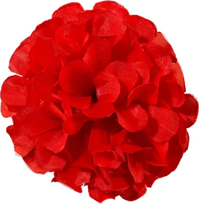 Produktbild von Ansteck Chrysantheme 10cm, rot
