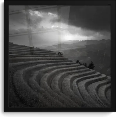 Produktbild von MuchoWow® MuchoWow® Gerahmtes Poster Indonesien - Reis - Schwarz - Weiß 40x40 cm - Poster mit zchwarzem Bilderrahmen - Mit Rahmen - Wanddekoration Schlafzimmer