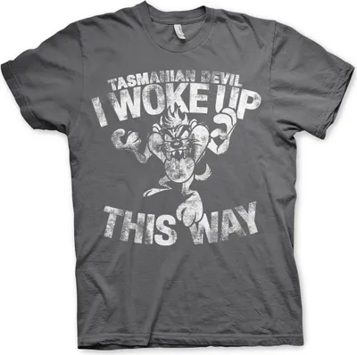 Produktbild von Tasmanian Devil - I Woke Up This Way T-Shirt - Large - Dark-Grey