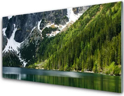 Produktbild von Acrylglasbilder 100x50 Wandbild Druck See Wald Gebirge Landschaft