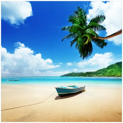 Produktbild von Wallario Möbeldesign / Aufkleber, geeignet für Ikea Lack Tisch - Urlaub am Palmenstrand unter Palmen mit Fischerboot in 55 x 55 cm