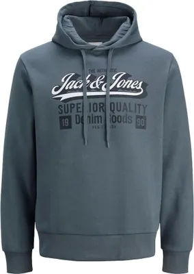Produktbild von Jack & Jones Logo 2 Plus Size Kapuzenpullover Grau 4XL Herren Grau 4XL