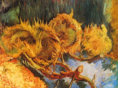 Obrázek produktu pro Vincent Van Gogh Art Print Obraz - Čtyři vybledlé slunečnice, 1887 (60 x 80 cm)