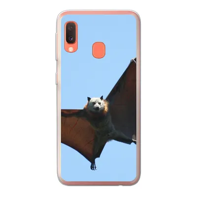 Produktbild von MuchoWow® Handyhülle Schutzhülle Hülle für Samsung Galaxy A20e Fledermaus - Luft - Flügel Silikon Softcase Handy Hülle - Abdeckung