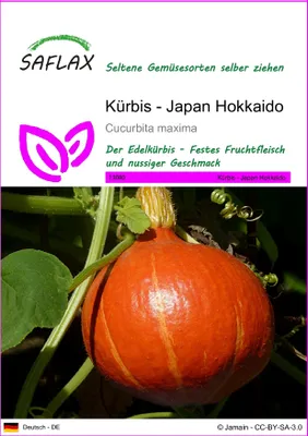 Obrázek produktu pro SAFLAX - Dýně - Japonsko Hokkaido - Cucurbita maxima - 10 Semena