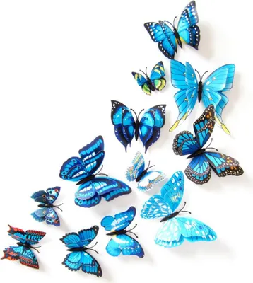 Produktbild von Oblique Unique 3D Schmetterlinge 12er Set Wandtattoo Wandsticker Wanddeko - blau