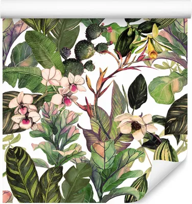 Produktbild von 10m VLIES TAPETE Rolle Natur Exotisch Kakteen Blumen Bltter Aquarell XXL