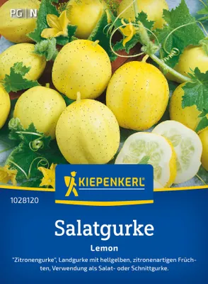Artikelbild 2 von 'Salatgurke Lemon' aus der Kategorie Salatgurkensamen