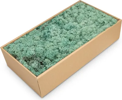 Produktbild von Islandmoos 500g in 30 Farben – Konserviertes Rentiermoos Natur, Farbe:Pacificgrün