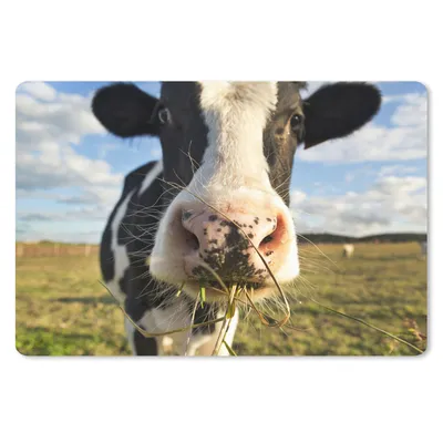 Produktbild von MuchoWow® Schreibtischunterlage Kuh - Licht - Gras 60x40 cm - XXL Mauspad - Großes Mauspad