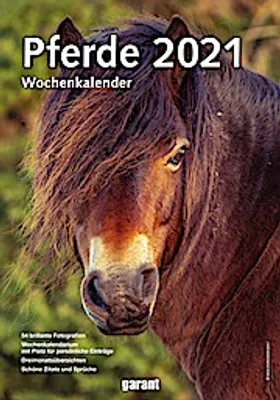 Obrázek produktu pro Knallberts Tagebuch 01. Keine Gnade für Schüler