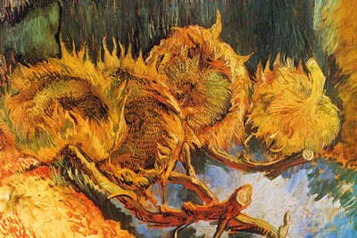 Obrázek produktu pro Vincent Van Gogh Art Print Obraz - Čtyři vybledlé slunečnice, 1887 (80 x 120 cm)
