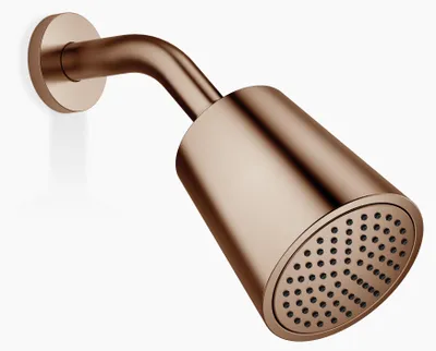 Produktbild von Dornbracht Kopfbrause, Ausladung 180-210mm, 28504979-42