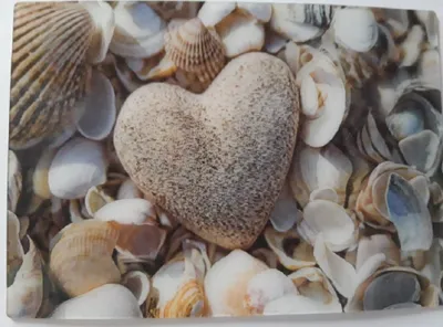 Produktbild von 3 D Ansichtskarte Herz mit Muscheln, Postkarte Wackelkarte Hologrammkarte