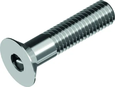 Produktbild von Schäfer + Peters GmbH Innensechskantschrauben ISO 10642, A4, M 10 X 60, Ant.gr. 6