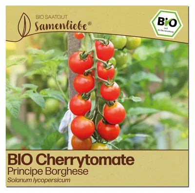 Produktbild von Samenliebe  Tomate Samen | Principe Borghese - rot & aromatisch - samenfestes  Saatgut