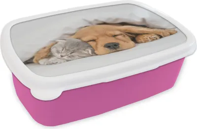 Produktbild von KitchenYeah® Lunchbox Brotzeit Brotdose 17x11 cm Haustiere - Hund - Katze - Decke Kinder Brotzeitdose - Lunchpaket - Brotkasten  - Sandwich Box