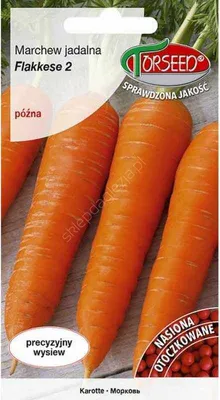 Zdjęcie produktu dla Nasiona Flakkese 2 Flacoro TOR Marchew 300 nasion - Torseed