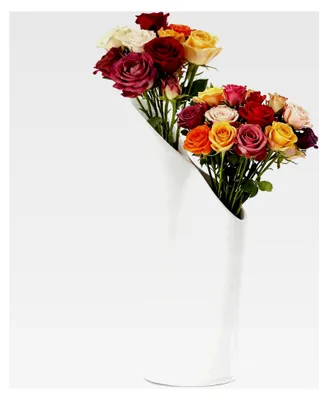 Produktbild von Keramikvase, Doppelmündige Vase, Dekorative Blumenvase für Wohnzimmer, Esszimmer, Couchtisch, Büro und Hochzeitsdekoration (Weiß)