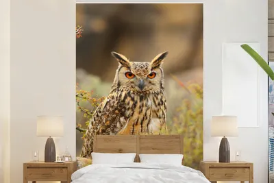 Produktbild von Fotobanner - Naturmotiv Ein Oehoe bei Sonnenuntergang - Breite 225 cm x Höhe 350 cm