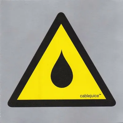Image de Arrestation d'un proxénète (2000)