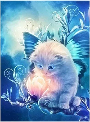 Produktbild von Malen nach Zahlen: Katze mit Blume, 50X40 Cm, mit Rahmen. Kreatives Bild