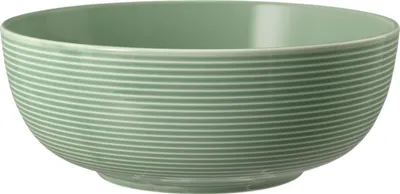 Productafbeelding van Seltmann Weiden Foodbowl 17,5 cm Beat Salbeigrün 001.774866