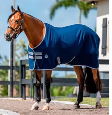 Produktbild von Amigo Sommerteppich Blau 145-198 cm Blau 145-198 cm
