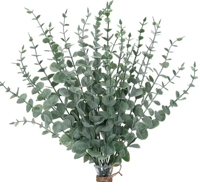 Image de 30 branches d'eucalyptus décoratives, fleurs artificielles en soie, branches d'eucalyptus, guirlande de fleurs, branche décorative, pour décorations de table, fêtes, mariages (blanc et vert)