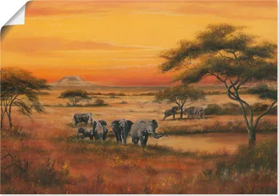 Produktbild von ARTland Poster Afrika Elefanten Größe: 100x70 cm