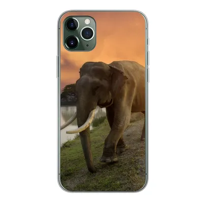 Produktbild von MuchoWow® Handyhülle Schutzhülle Hülle für iPhone 11 Pro Max Elefant - Wasser - Tiere - Sonnenuntergang - Natur Silikon Softcase Handy Hülle - Schutz