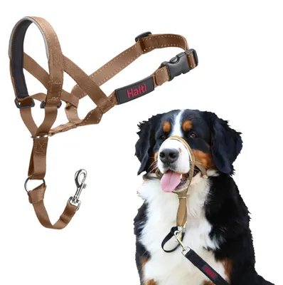 Imagen del producto de Arnés para perros Halti, color arena, talla: 4
