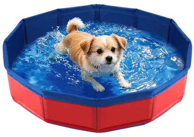 Productafbeelding van Hondenzwembad Opvouwbaar - Waterbak Voor Honden - Blauw